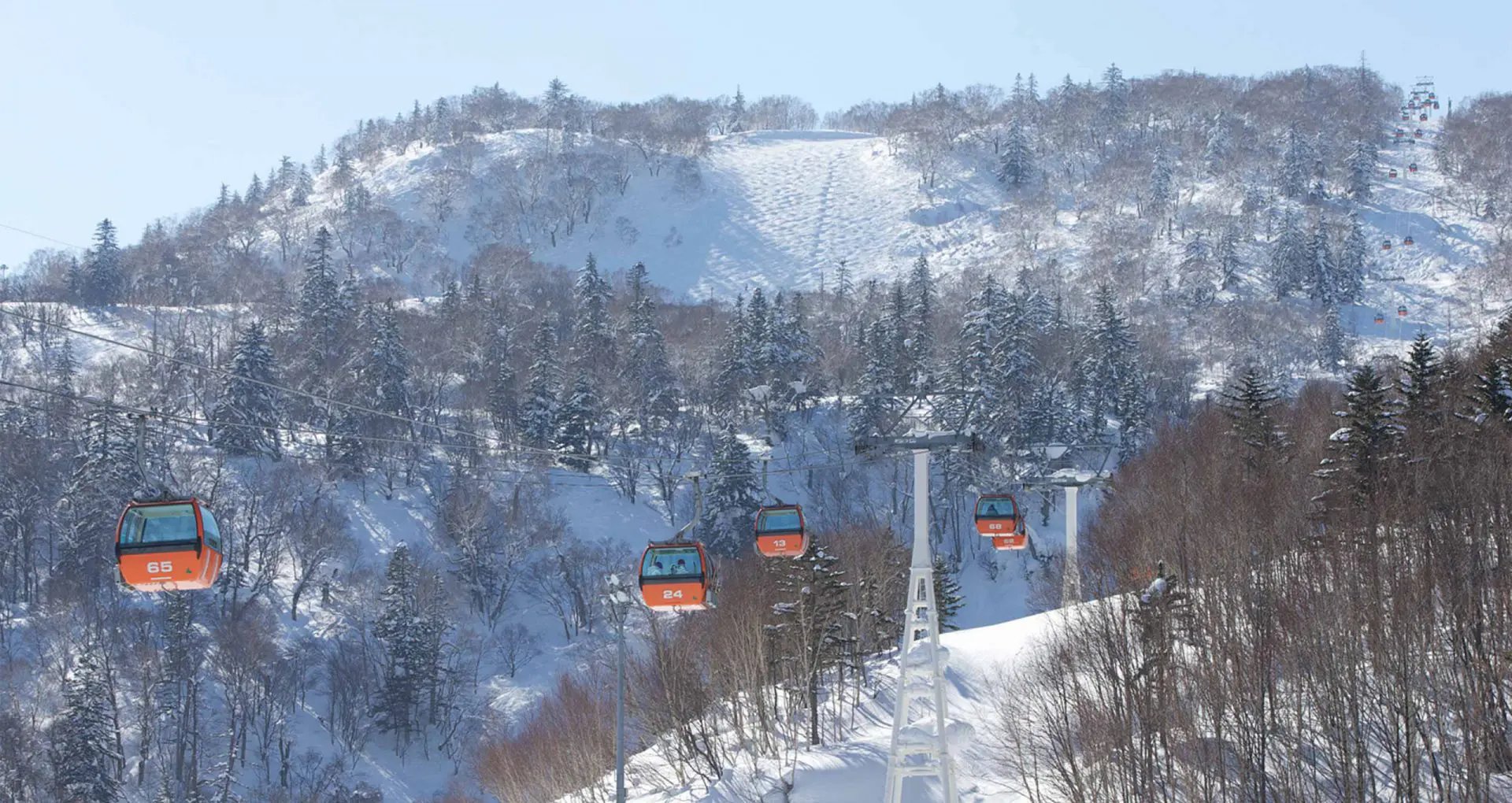 ⛷️ 삿포로 국제 스키장(삿포로 코쿠사이 스키조) 이미지 6